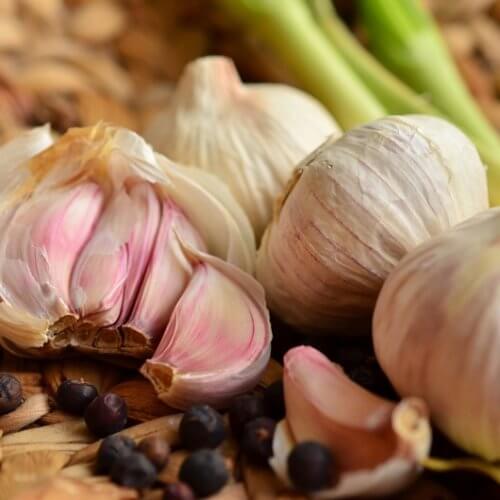 garlic and herbs
